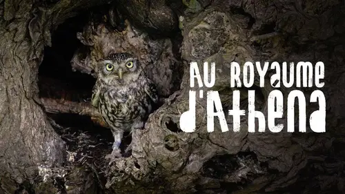 Au royaume d'Athéna