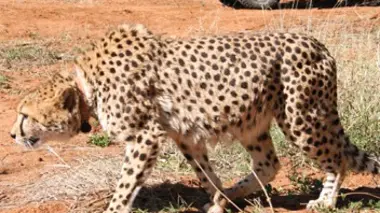Une journée bien remplie