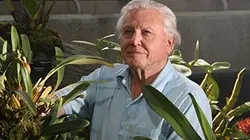 Visuel de Au royaume des plantes