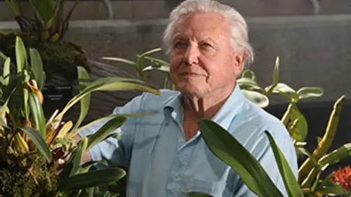 Casting Au royaume des plantes E02 Secrets