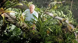 Visuel de Au royaume des plantes