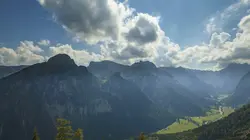 Au royaume du faucon pèlerin