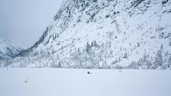 Au royaume du faucon pèlerin