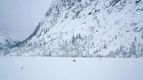 Au royaume du faucon pèlerin