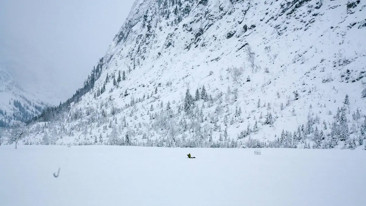 Au royaume du faucon pèlerin : Seefeld, le joyau naturel du Tyrol Seefeld, le joyau naturel du Tyrol