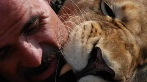 Au royaume du lion blanc La réserve en danger