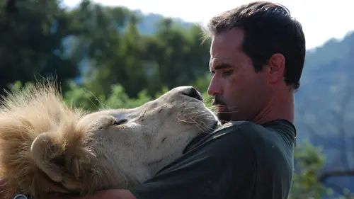 Épisodes de Au royaume du lion blanc