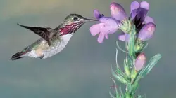 Au rythme des saisons S01E02 Les beaux jours