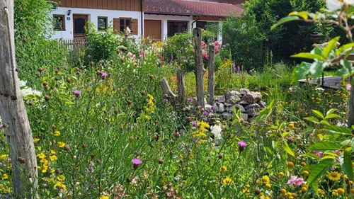 Au secours d'espèces menacées : Les gardiens de la biodiversité
