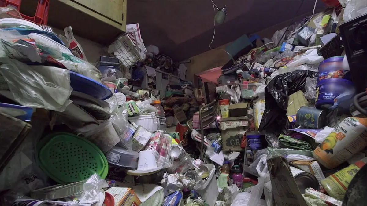 Au secours, je suis accumulateur compulsif ! Les Stanks et Anne