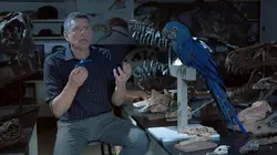Au temps des dinosaures