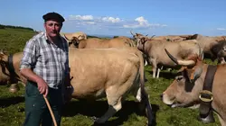 Aubrac, des bergers et des moines