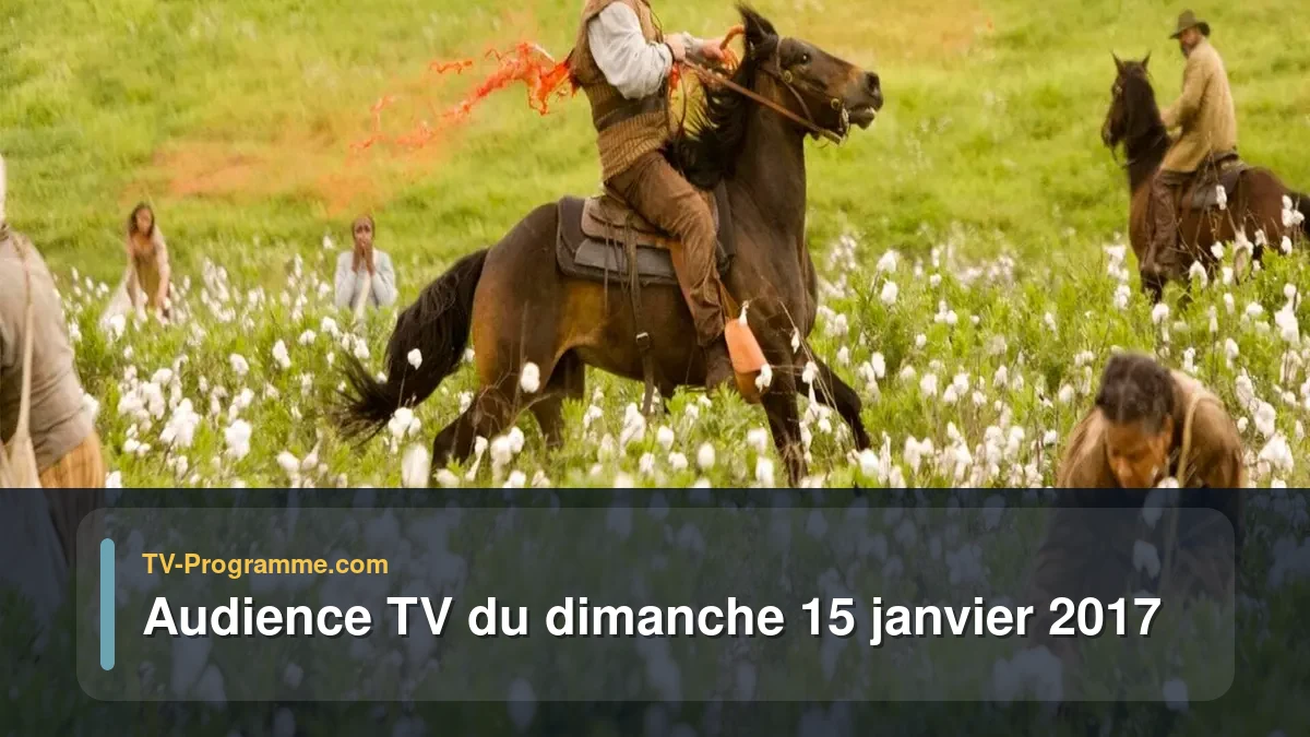 Audiences TV et audimat en prime time du Dimanche 15 janvier 2017
