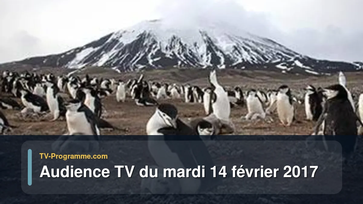 Audiences TV et audimat en prime time du Mardi 14 février 2017