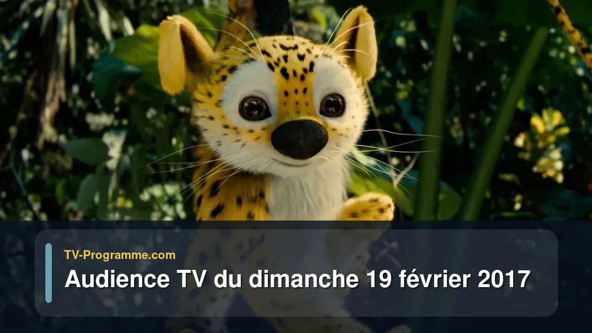 Audiences TV et audimat en prime time du Dimanche 19 février 2017