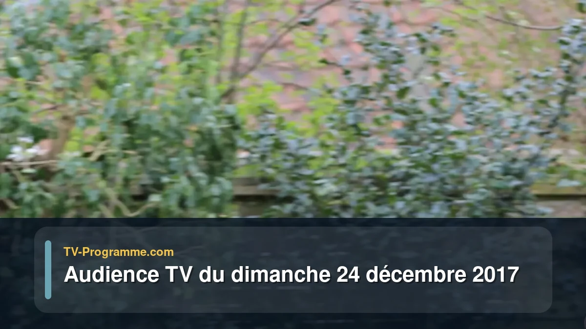 Audiences TV et audimat en prime time du Dimanche 24 décembre 2017