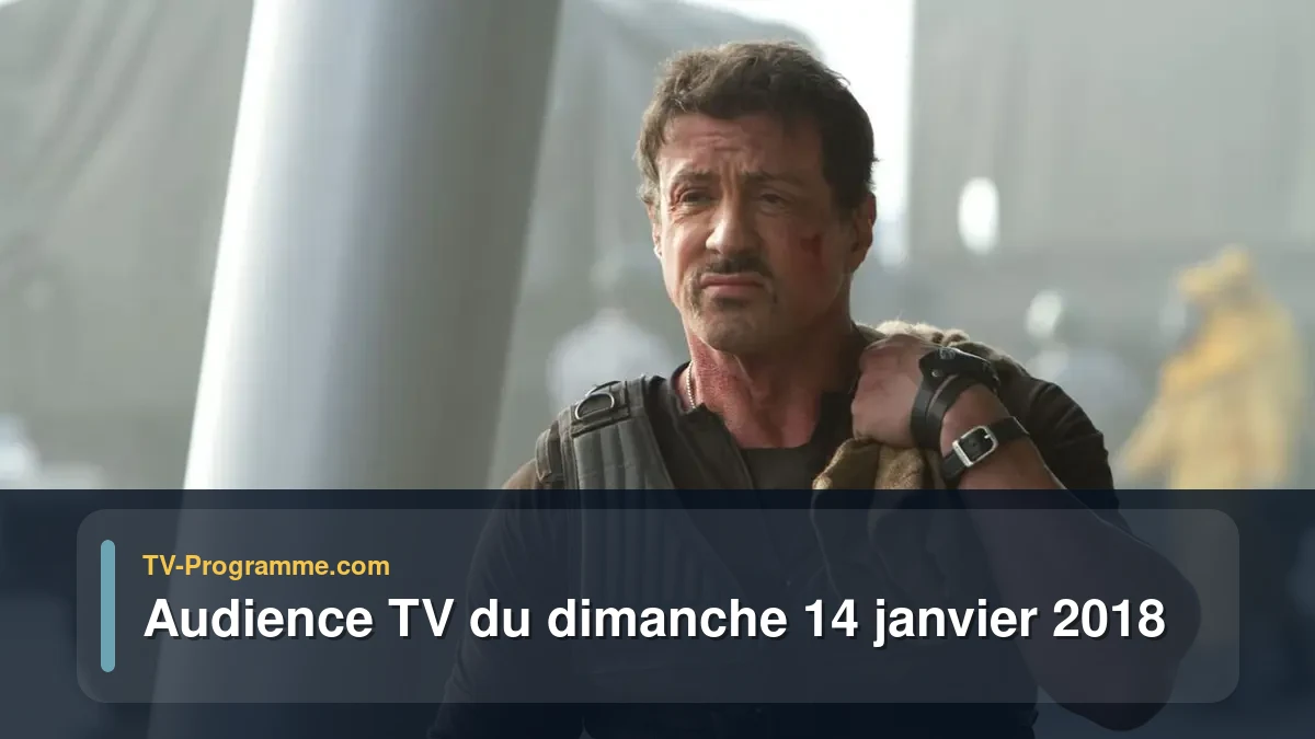 Audiences TV et audimat en prime time du Dimanche 14 janvier 2018