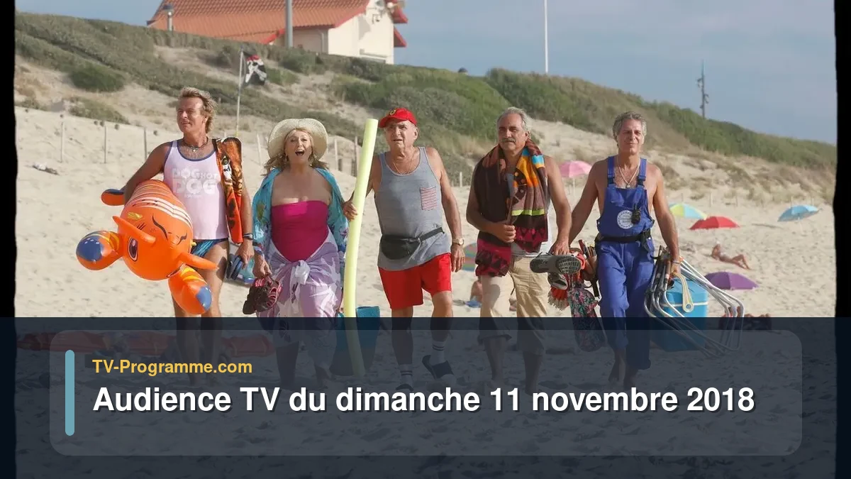 Audiences TV et audimat en prime time du Dimanche 11 novembre 2018