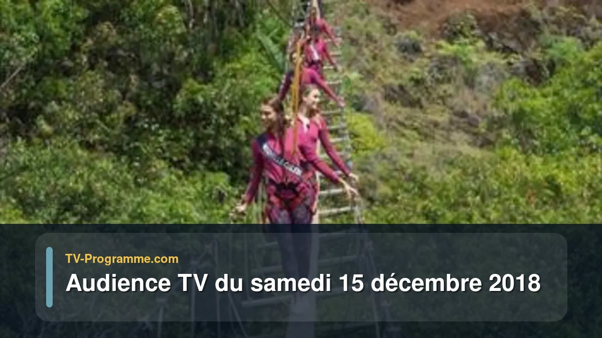 Audiences TV et audimat en prime time du Samedi 15 décembre 2018