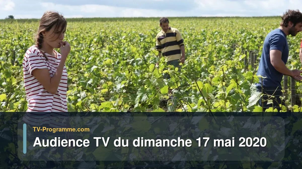 Audiences TV et audimat en prime time du Dimanche 17 mai 2020