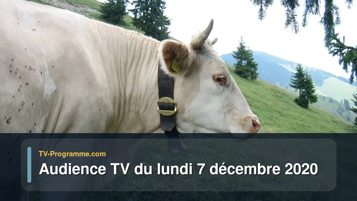 Audiences TV et audimat en prime time du Lundi 7 décembre 2020