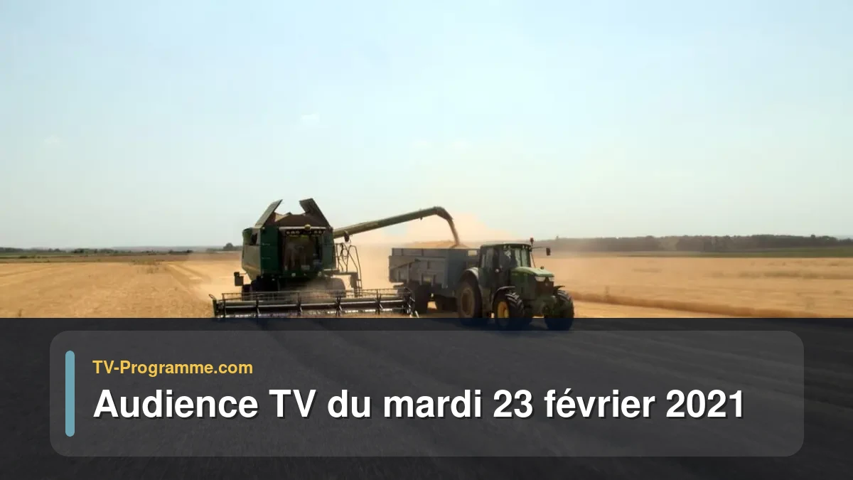Audiences TV et audimat en prime time du Mardi 23 février 2021