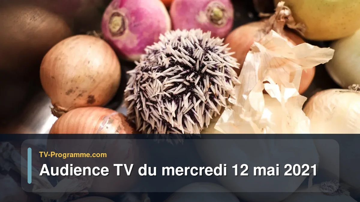 Audiences TV et audimat en prime time du Mercredi 12 mai 2021