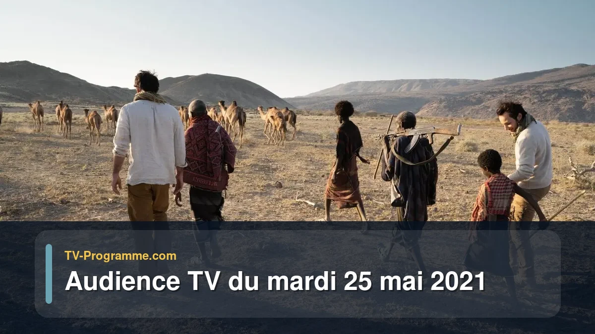 Audiences TV et audimat en prime time du Mardi 25 mai 2021