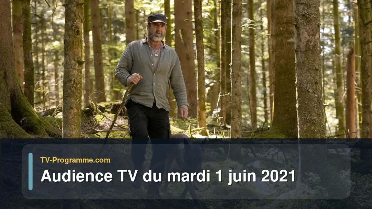 Audiences TV et audimat en prime time du Mardi 1 juin 2021