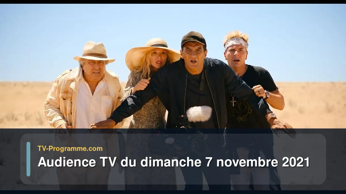 Audiences TV et audimat en prime time du Dimanche 7 novembre 2021