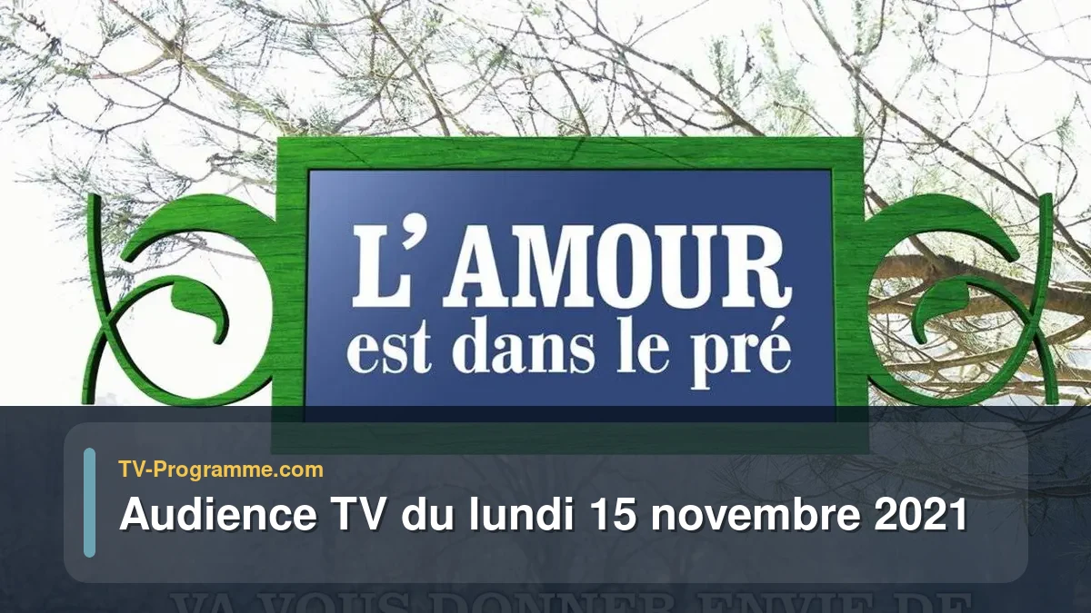 Audiences TV et audimat en prime time du Lundi 15 novembre 2021