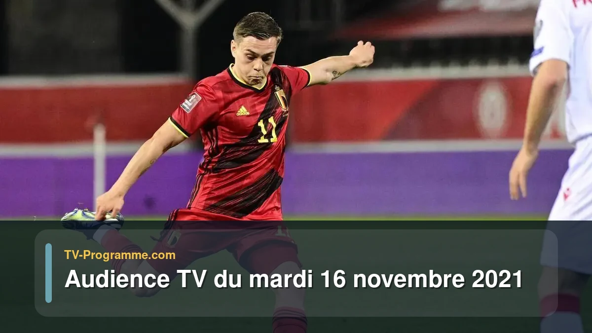 Audiences TV et audimat en prime time du Mardi 16 novembre 2021