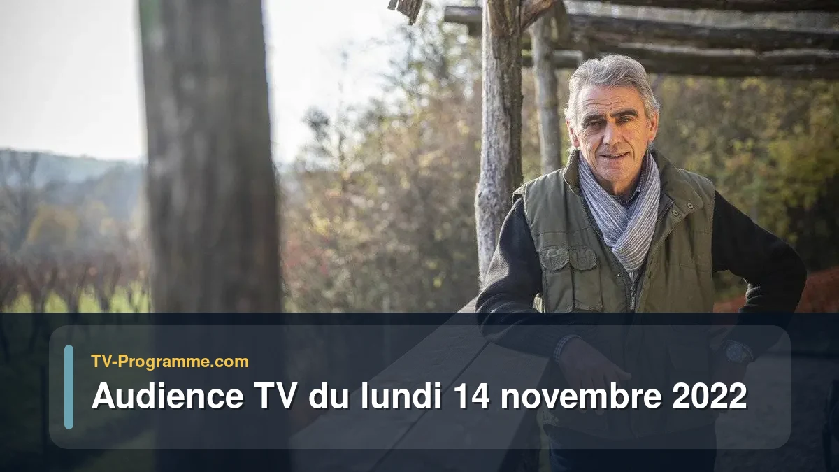 Audiences TV et audimat en prime time du Lundi 14 novembre 2022