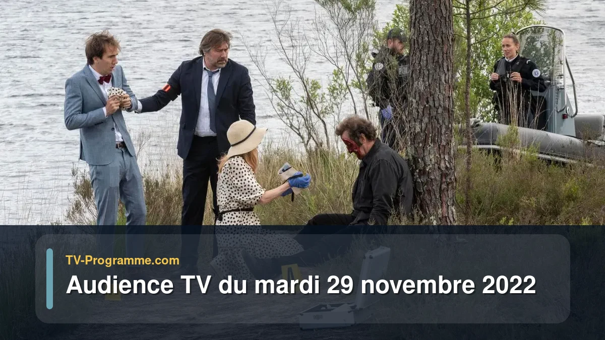 Audiences TV et audimat en prime time du Mardi 29 novembre 2022