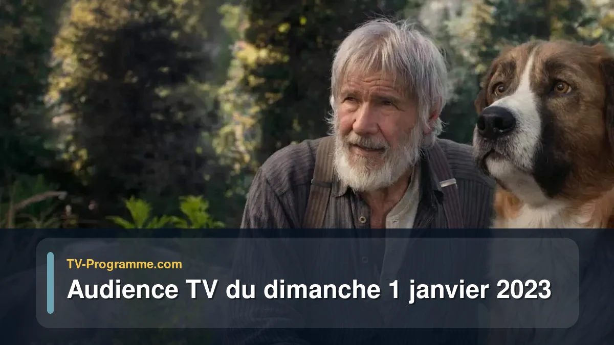 Audiences TV et audimat en prime time du Dimanche 1 janvier 2023