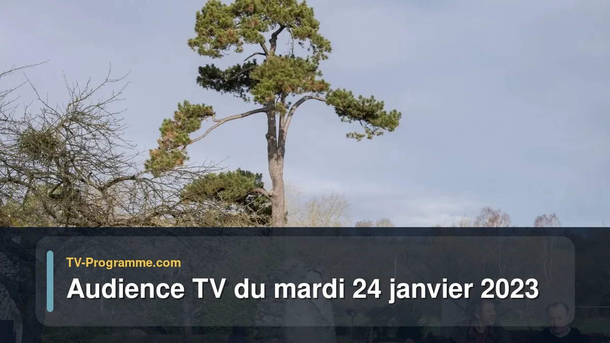 Audiences TV et audimat en prime time du Mardi 24 janvier 2023