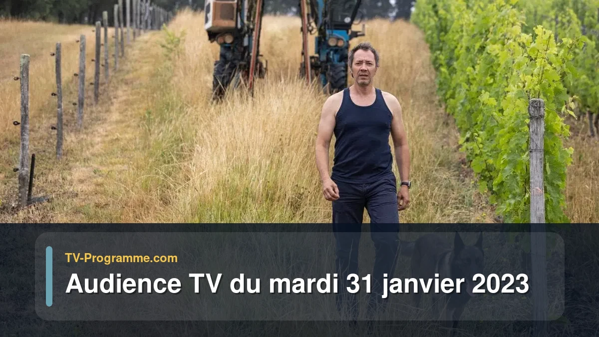 Audiences TV et audimat en prime time du Mardi 31 janvier 2023