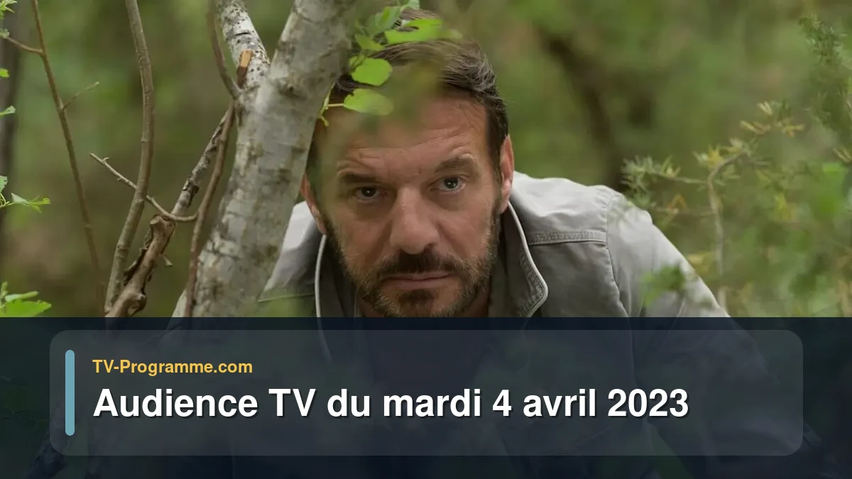 Audiences TV et audimat en prime time du Mardi 4 avril 2023