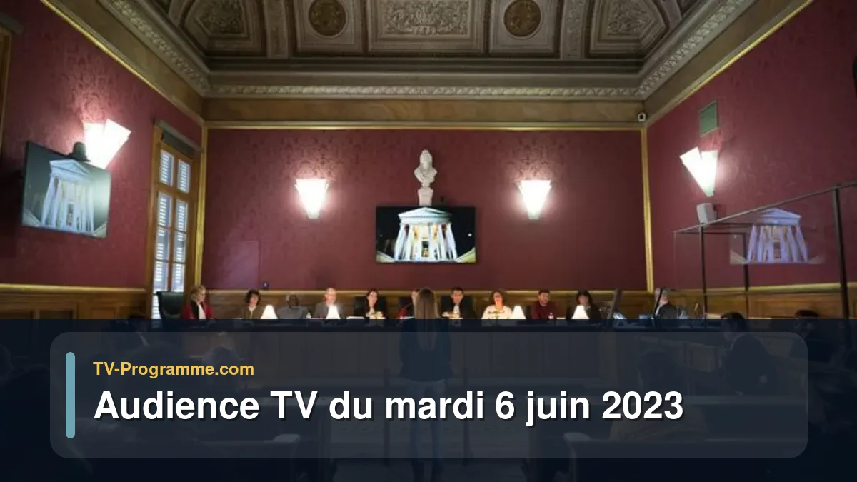 Audiences TV et audimat en prime time du Mardi 6 juin 2023