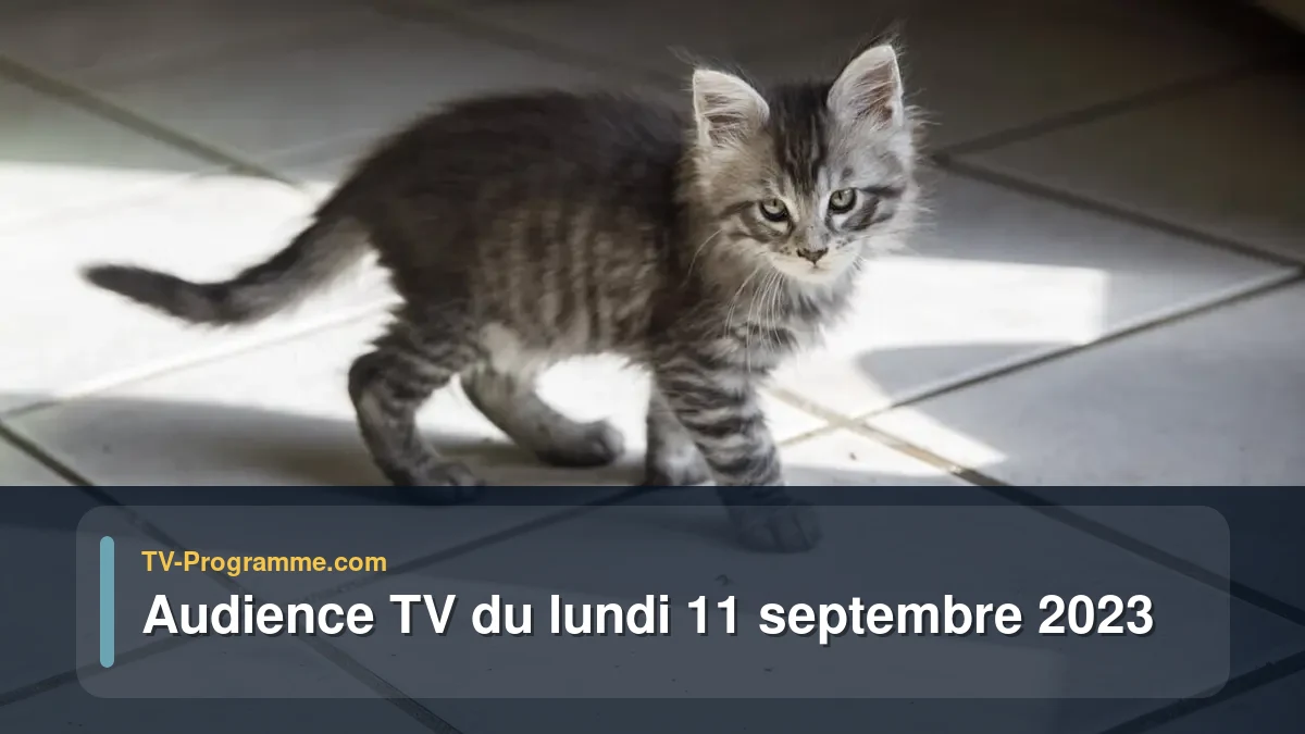 Audiences TV et audimat en prime time du Lundi 11 septembre 2023