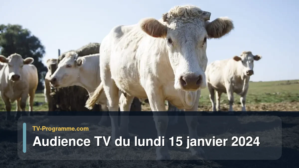 Audiences TV et audimat en prime time du Lundi 15 janvier 2024