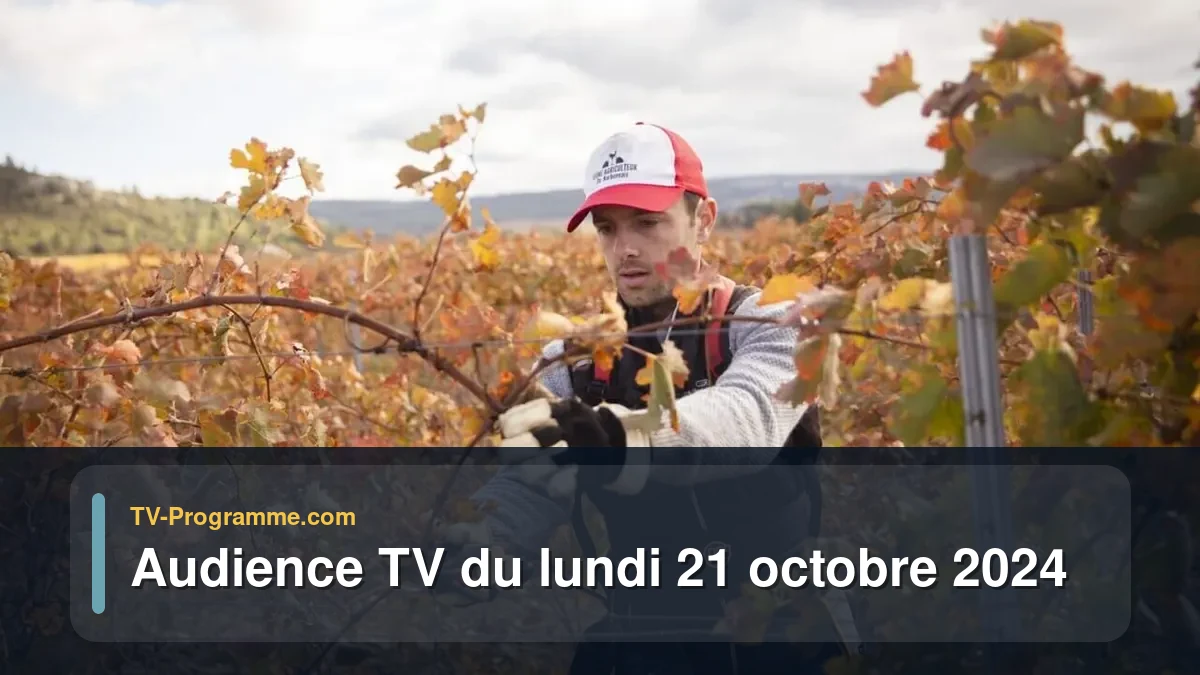 Audiences TV et audimat en prime time du Lundi 21 octobre 2024