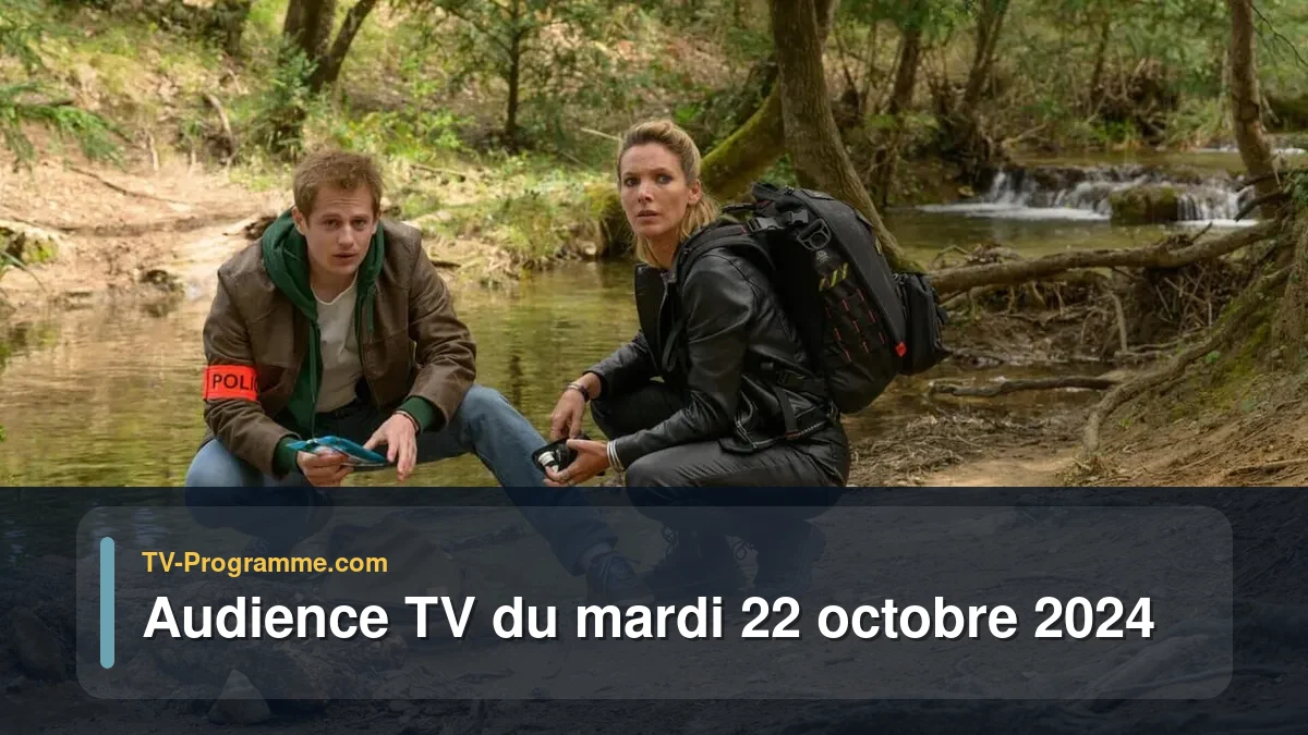 Audiences TV et audimat en prime time du Mardi 22 octobre 2024