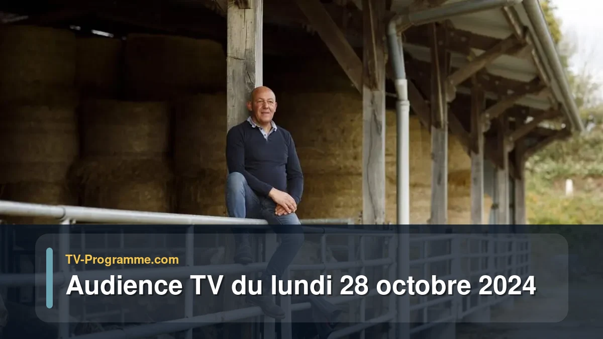Audiences TV et audimat en prime time du Lundi 28 octobre 2024