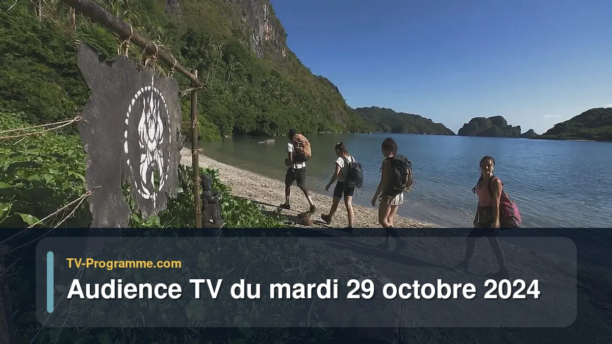 Audiences TV et audimat en prime time du Mardi 29 octobre 2024