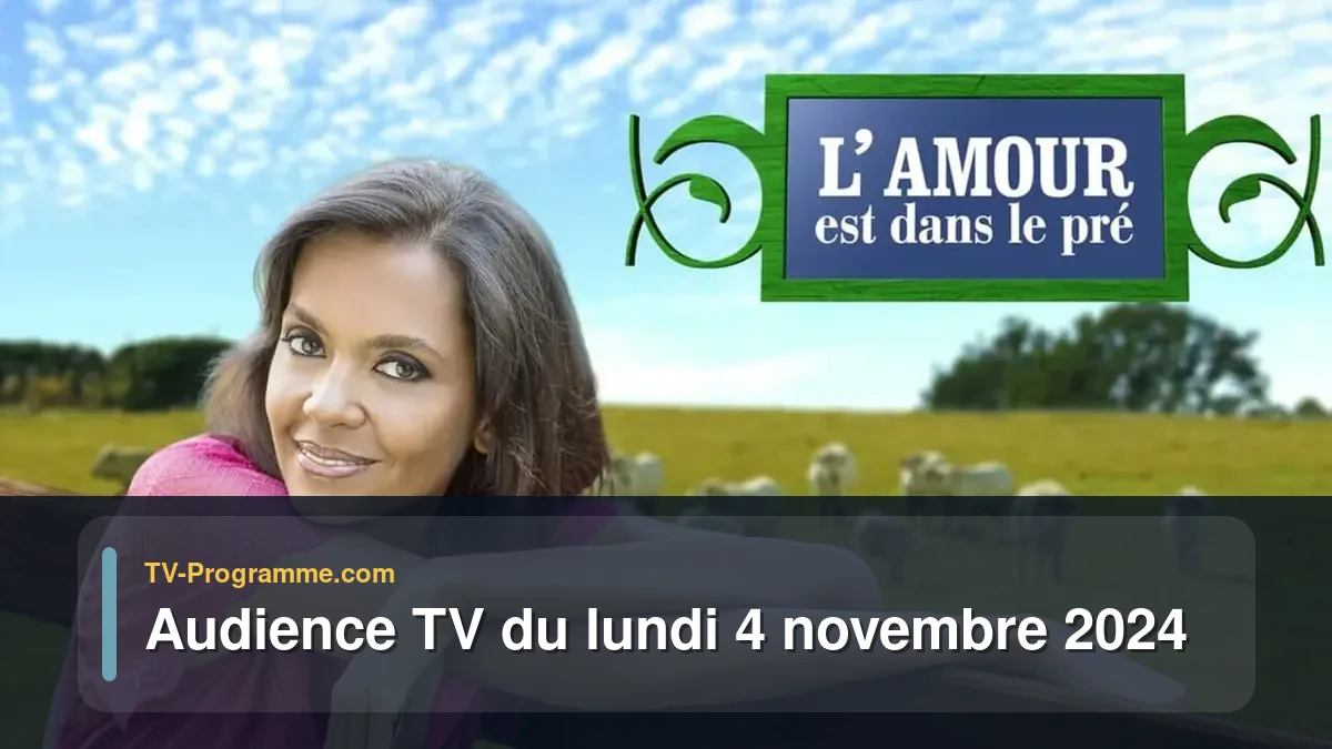 Audiences TV et audimat en prime time du Lundi 4 novembre 2024