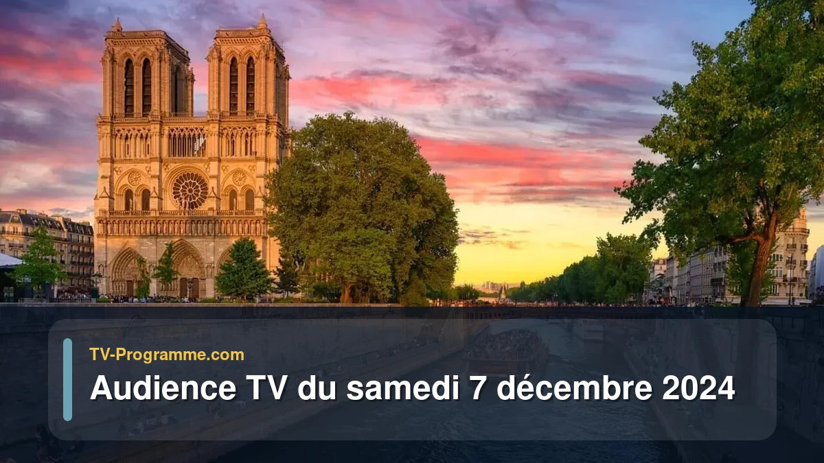 Audiences TV et audimat en prime time du Samedi 7 décembre 2024
