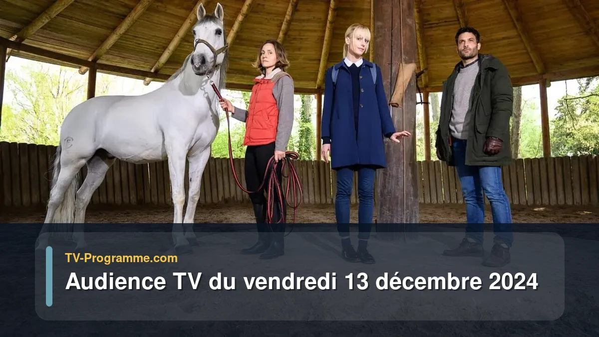 Audiences TV et audimat en prime time du Vendredi 13 décembre 2024