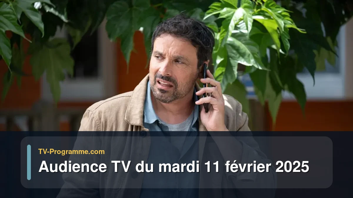 Audiences TV et audimat en prime time du Mardi 11 février 2025