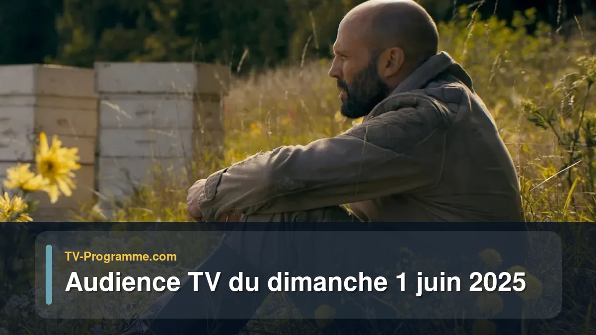 Audiences TV et audimat en prime time du Dimanche 1 juin 2025